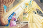 Immacolata Concezione