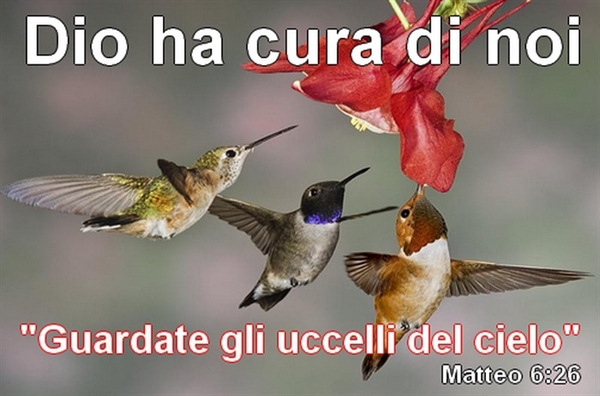 Vangelo della Domenica: “non preoccupatevi…cercate il Regno di Dio”