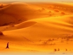 “Nel deserto…” sostenuti dalla Parola