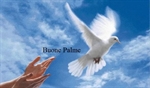 DOMENICA DELLE PALME – Osanna al Figlio di Davide! 