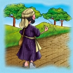 Vangelo della Domenica: Il seminatore uscì a seminare...