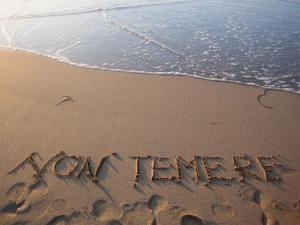 Vangelo della Domenica: non temere, soltanto abbi fede