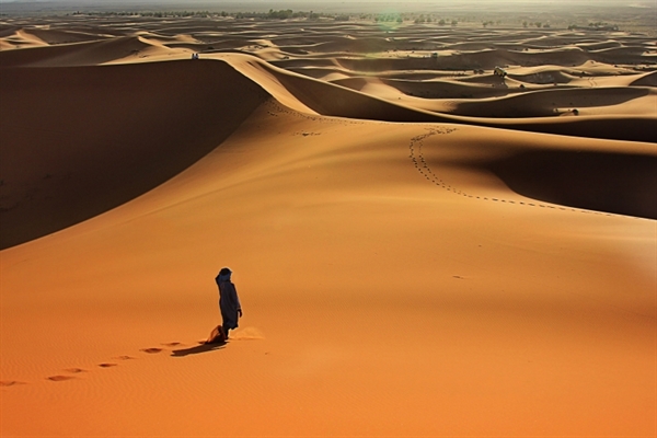 Voce di uno che grida nel deserto!